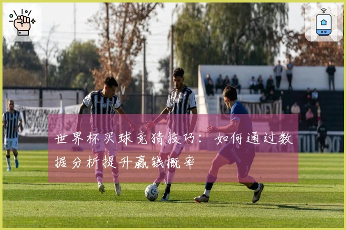 世界杯买球竞猜技巧：如何通过数据分析提升赢钱概率