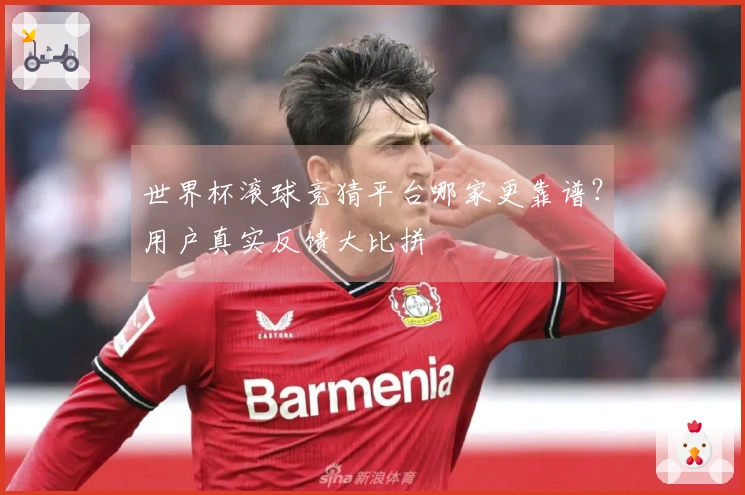 世界杯滚球竞猜平台哪家更靠谱？用户真实反馈大比拼