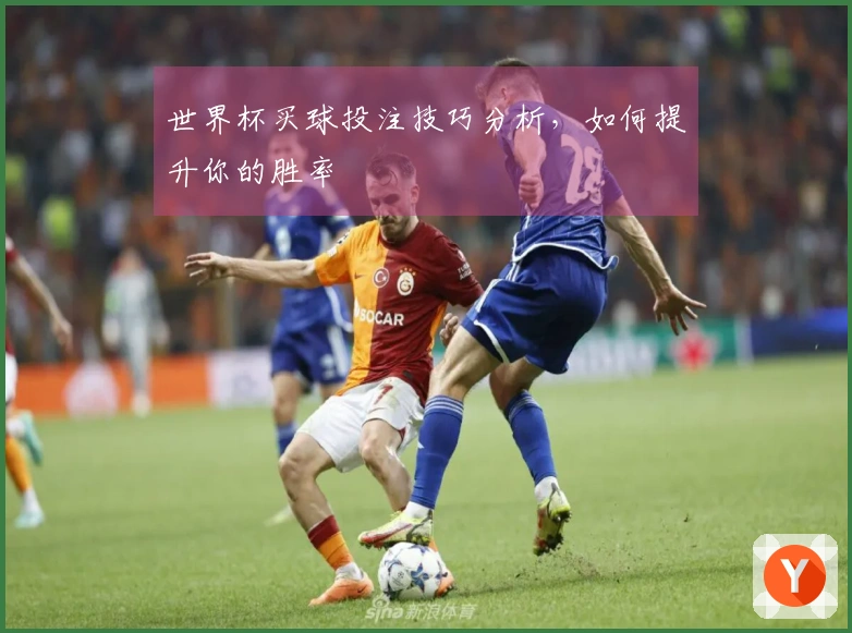世界杯买球投注技巧分析，如何提升你的胜率